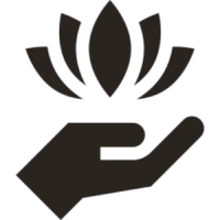 Lotus flower in palm icon